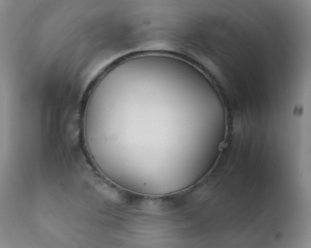 X0000111901364200908171228