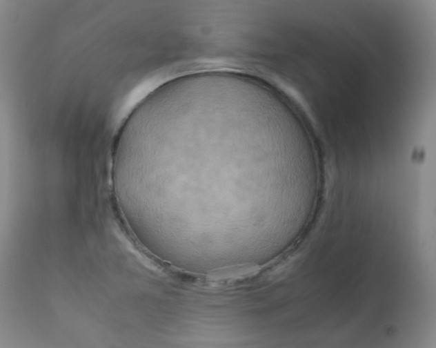 X0000111901365200908171228