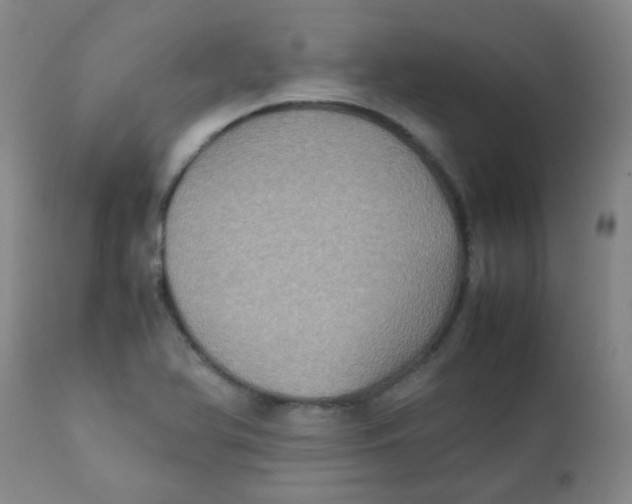 X0000111901366200908171228