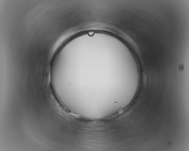 X0000111901368200908171228