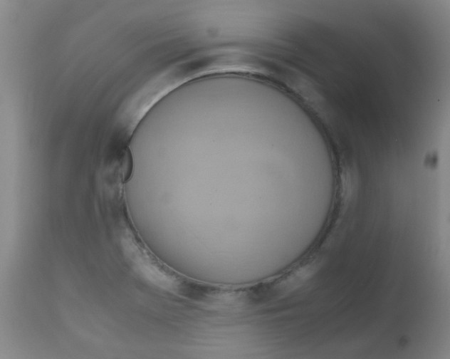 X0000111901369200908171228