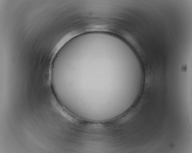 X0000111901370200908171228