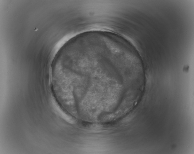 X0000111901371200908171228