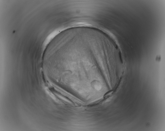 X0000111901373200908171228