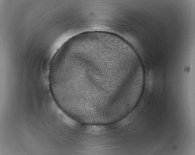 X0000111901374200908171228