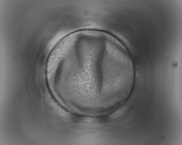 X0000111901375200908171228