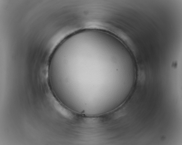 X0000111901376200908171228