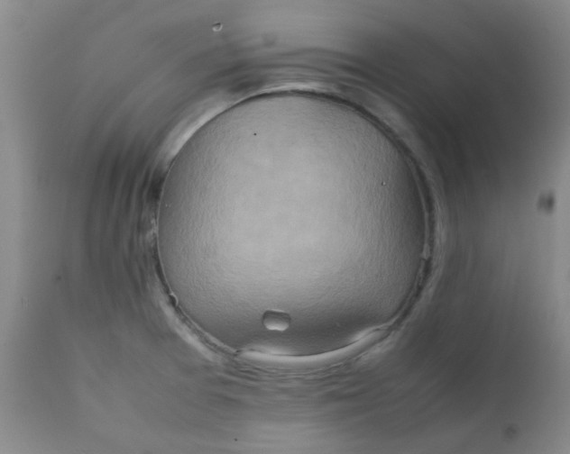 X0000111901377200908171228