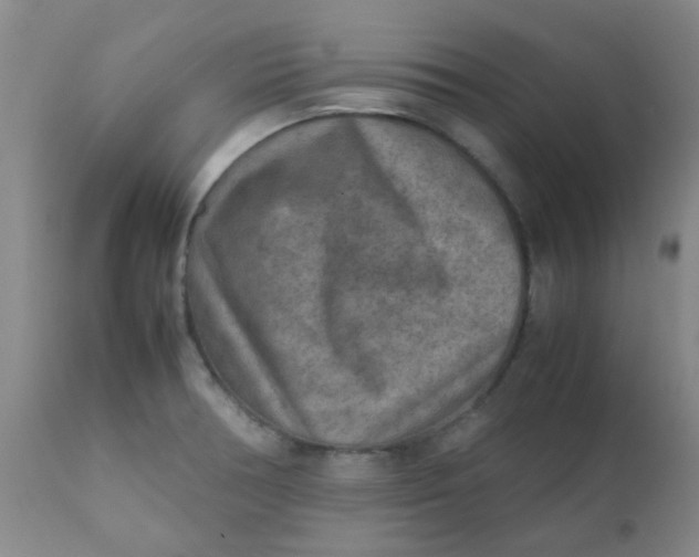 X0000111901378200908171228