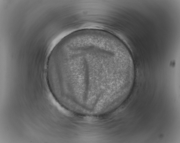 X0000111901379200908171228