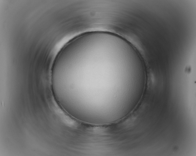 X0000111901380200908171228