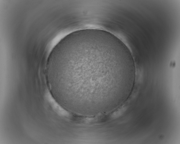 X0000111901381200908171228