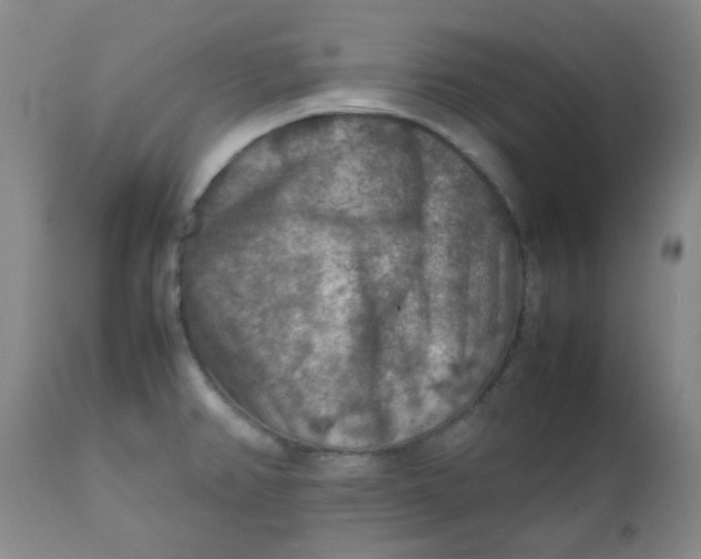 X0000111901382200908171228