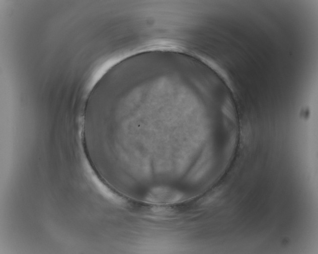 X0000111901383200908171228