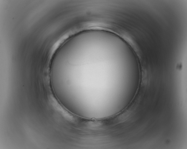 X0000111901384200908171228