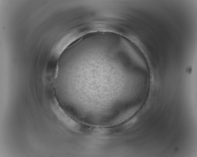 X0000111901385200908171228