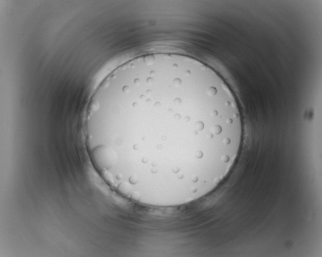 X0000111901386200908171228