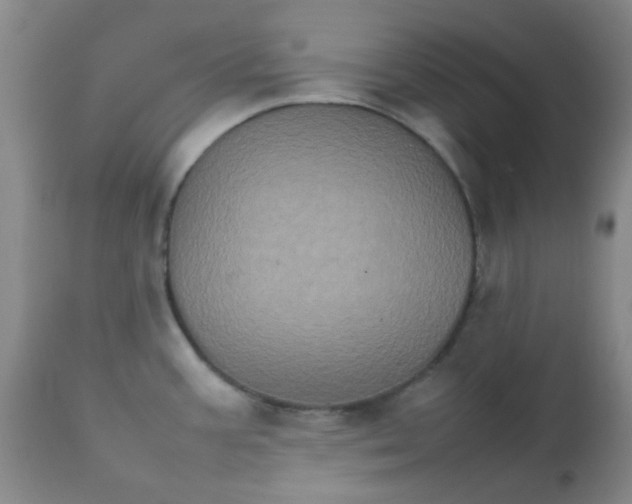 X0000111901387200908171228