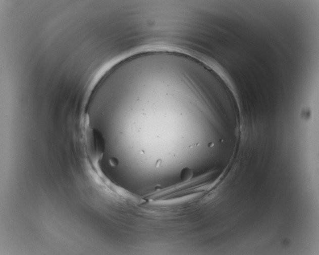 X0000111901388200908171228