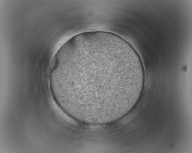 X0000111901389200908171228