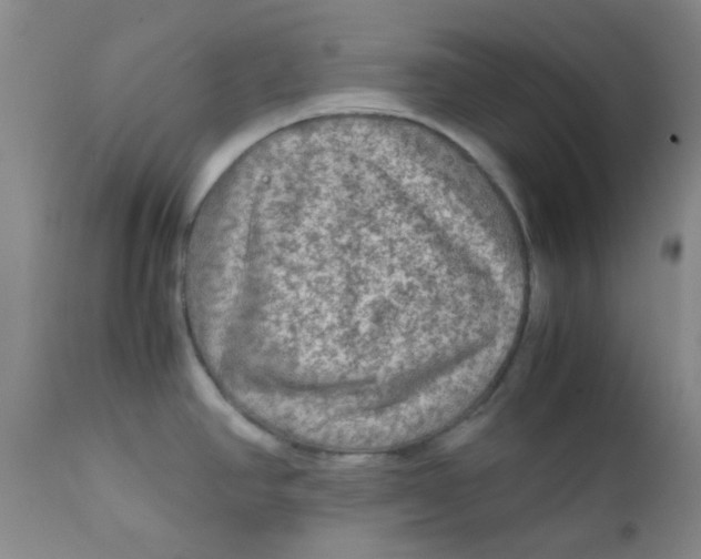 X0000111901390200908171228