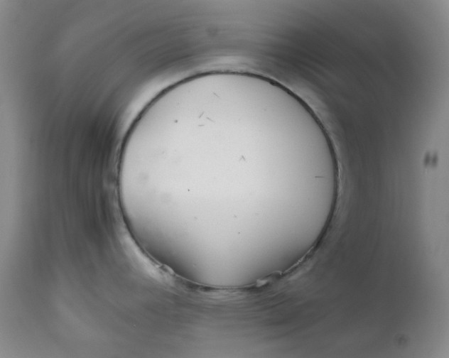 X0000111901392200908171228