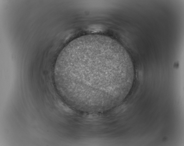 X0000111901393200908171227