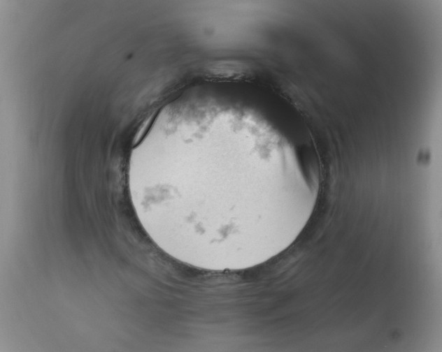 X0000111901394200908171227