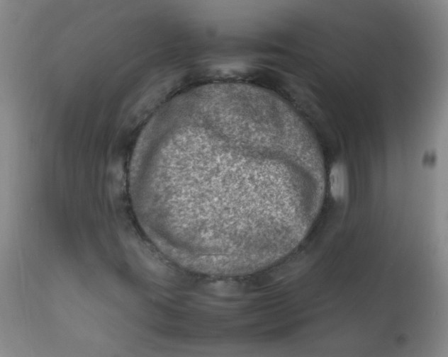 X0000111901395200908171227