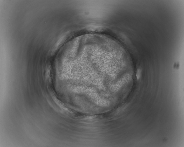 X0000111901396200908171227