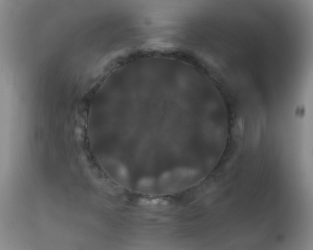 X0000111901397200908171227