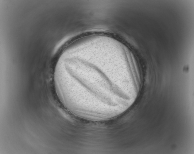 X0000111901400200908171227