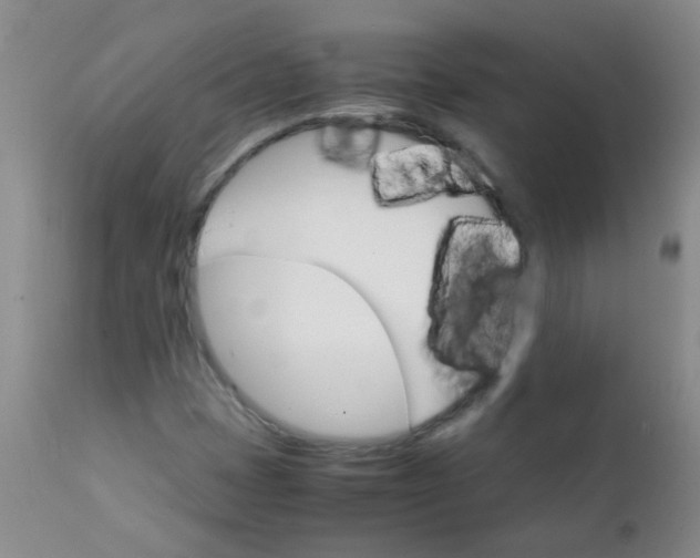 X0000111901401200908171227