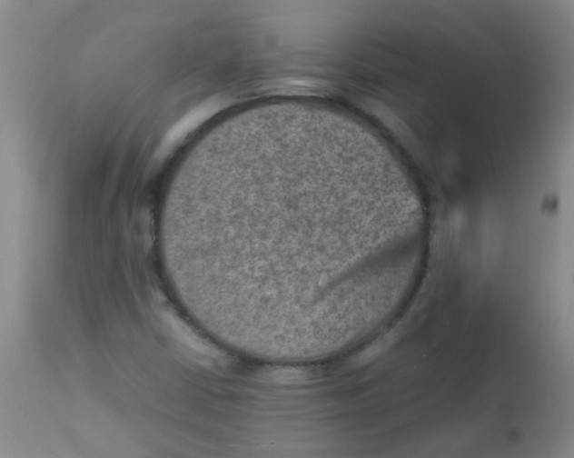 X0000111901402200908171227