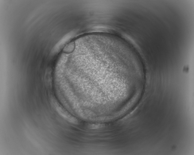 X0000111901403200908171227