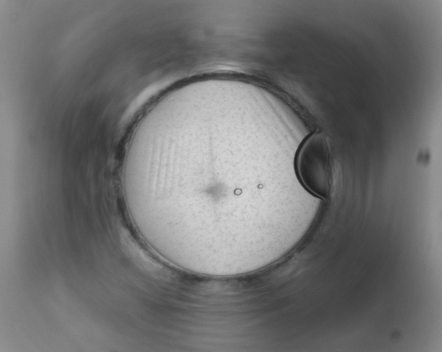 X0000111901404200908171227