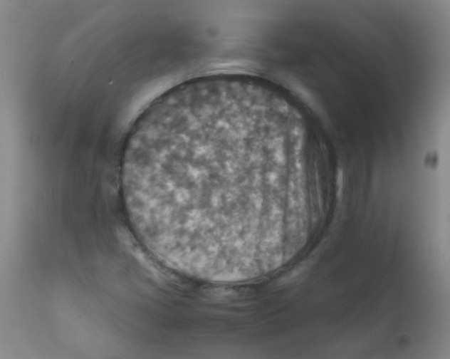 X0000111901405200908171227