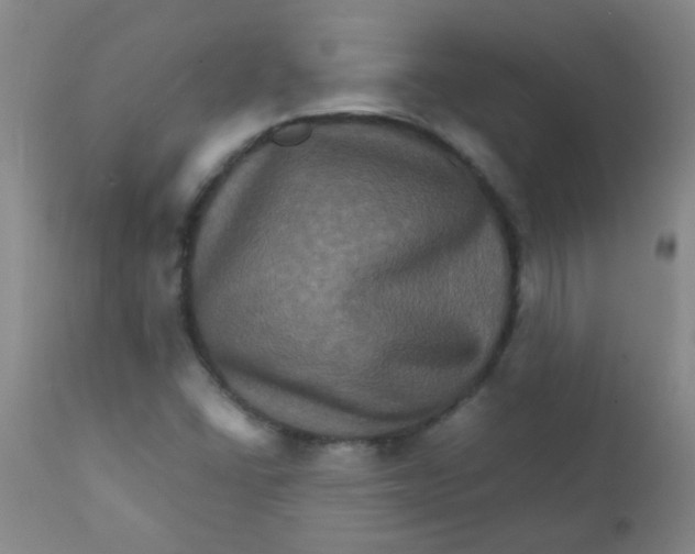 X0000111901406200908171227