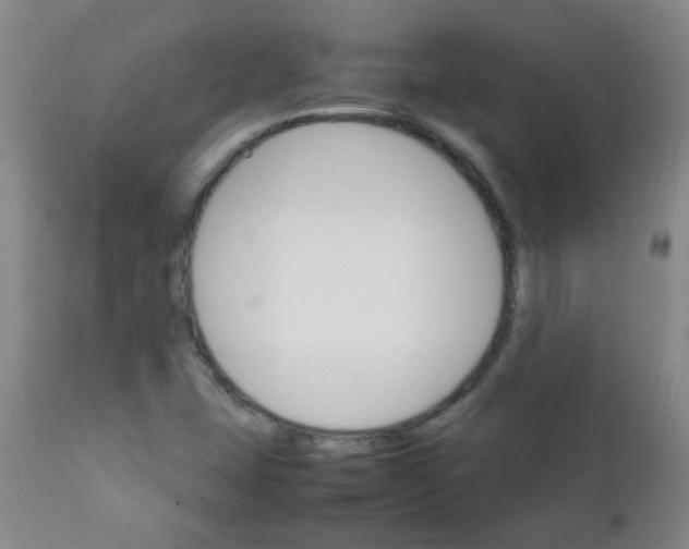 X0000111901407200908171227