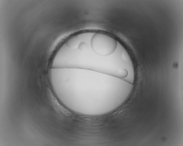 X0000111901408200908171227