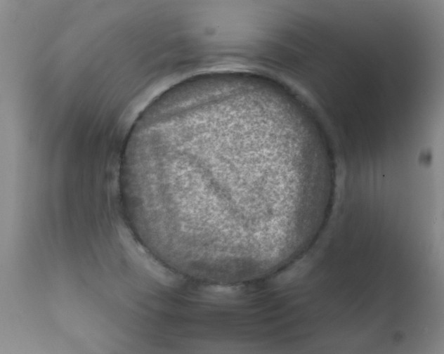 X0000111901409200908171227