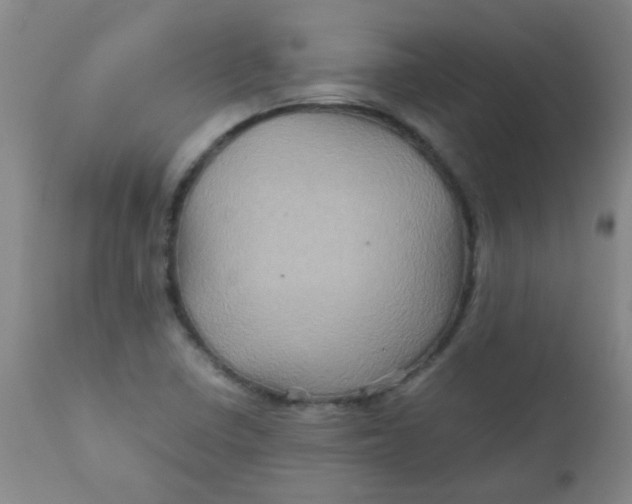 X0000111901410200908171227