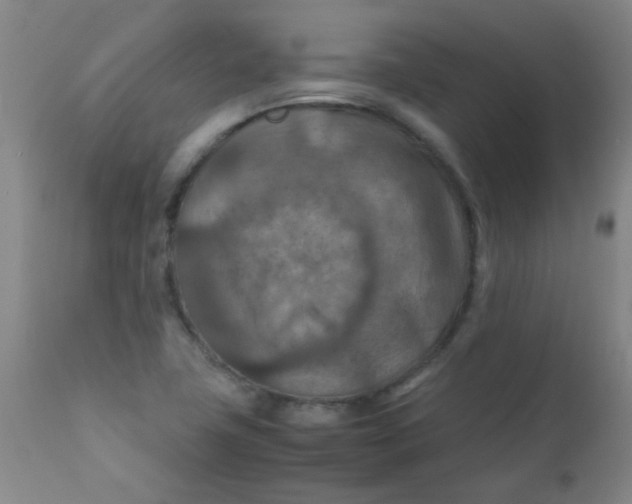 X0000111901411200908171227