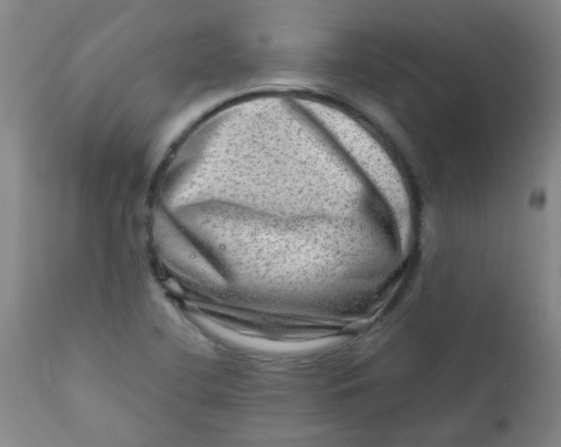 X0000111901412200908171227