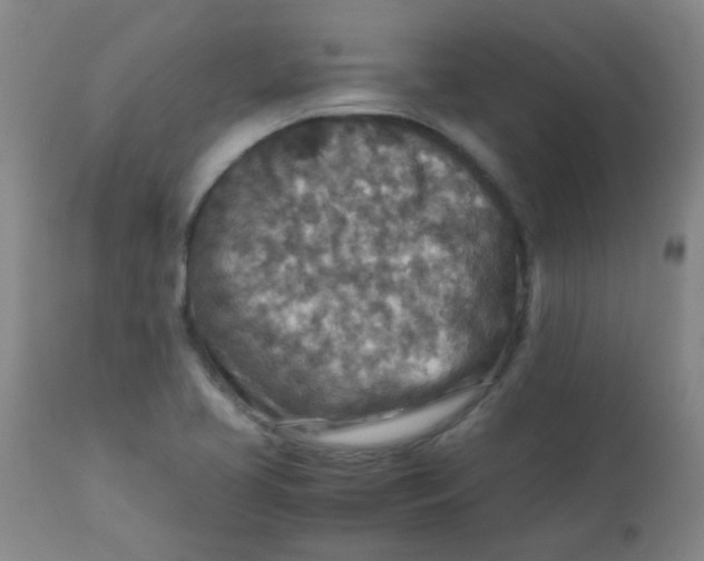 X0000111901413200908171227