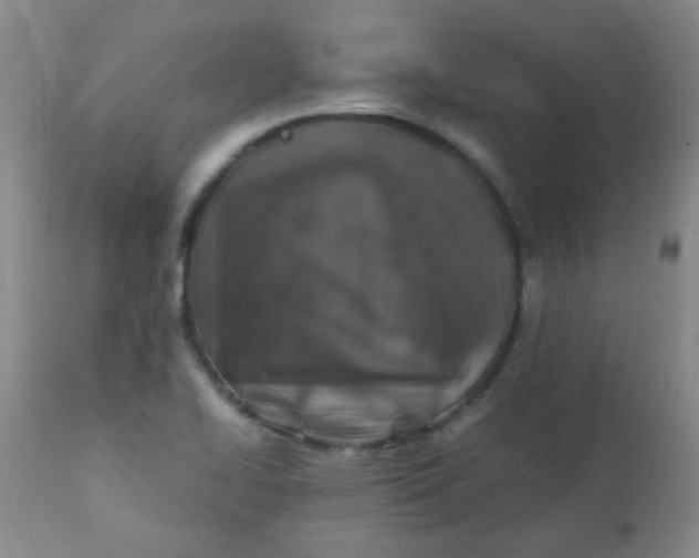 X0000111901414200908171227