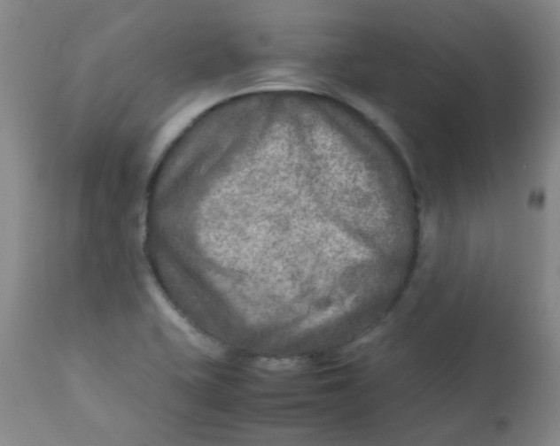 X0000111901415200908171227