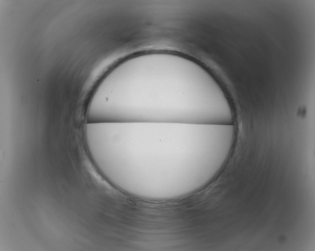 X0000111901416200908171227