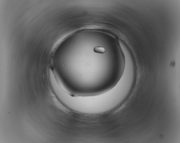 X0000111901417200908171227