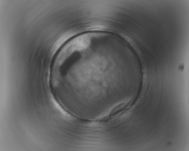 X0000111901418200908171227